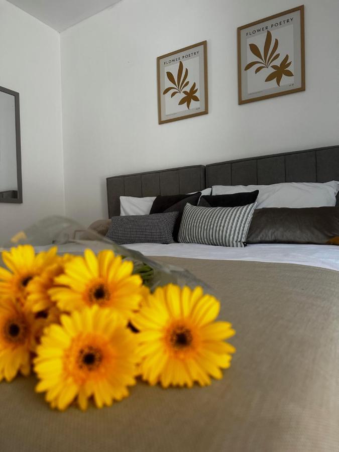 Studio Apartment Lu Rupa エクステリア 写真
